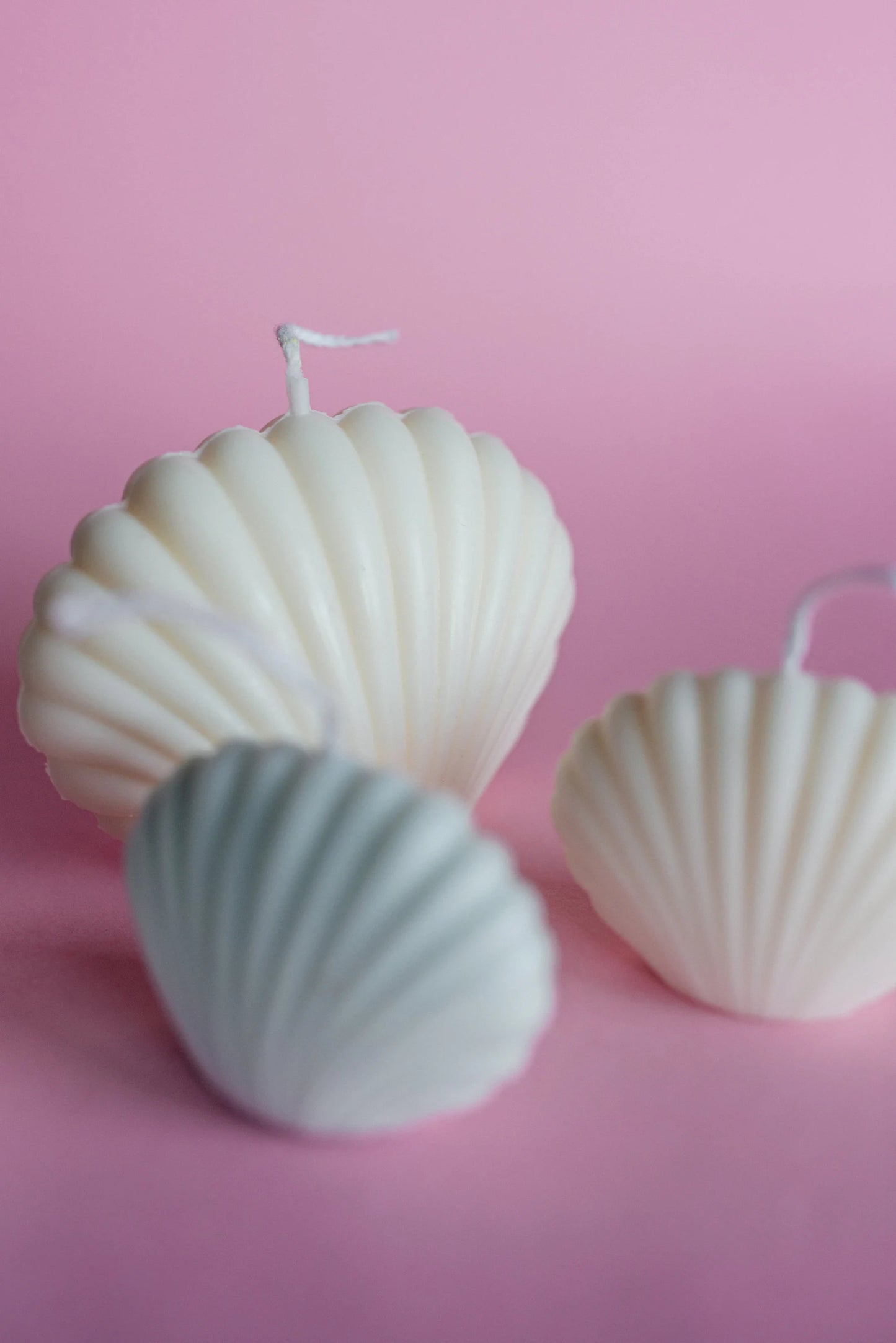 Seashell Soy Candles