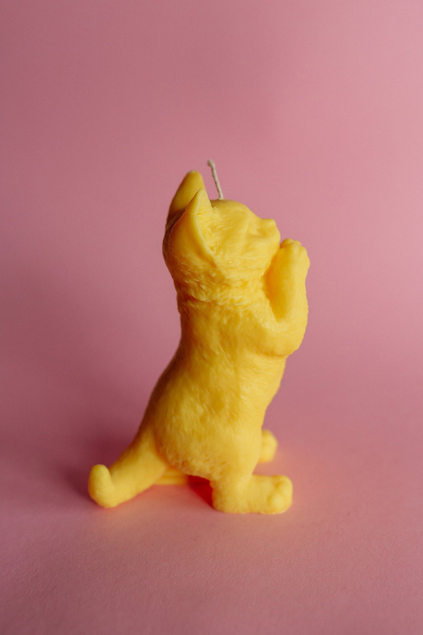 Cat Candle
