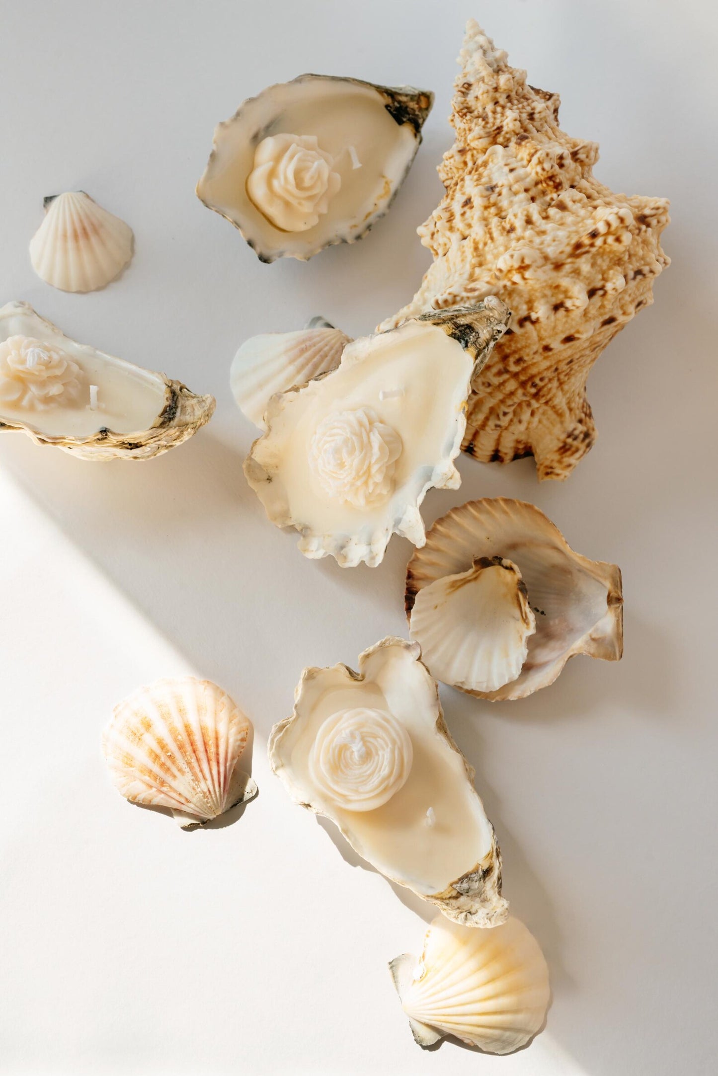 Candles in Natural Oyster Seashells