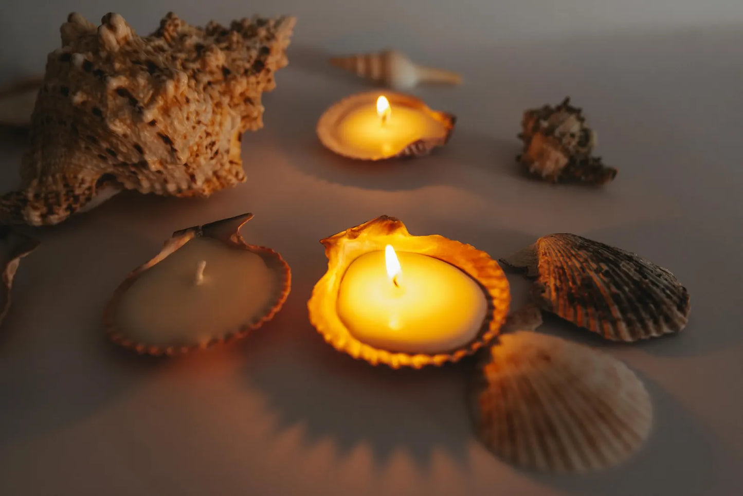 3/5/7 Sets of Shell Candles Natural Coastal Decor