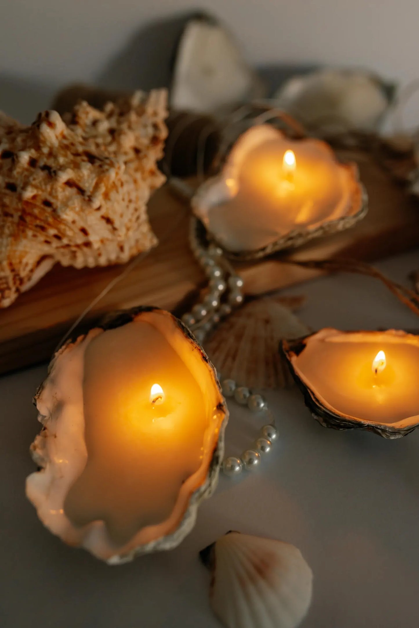 Set of 3/7/10 Oyster Natural Seashell Candles