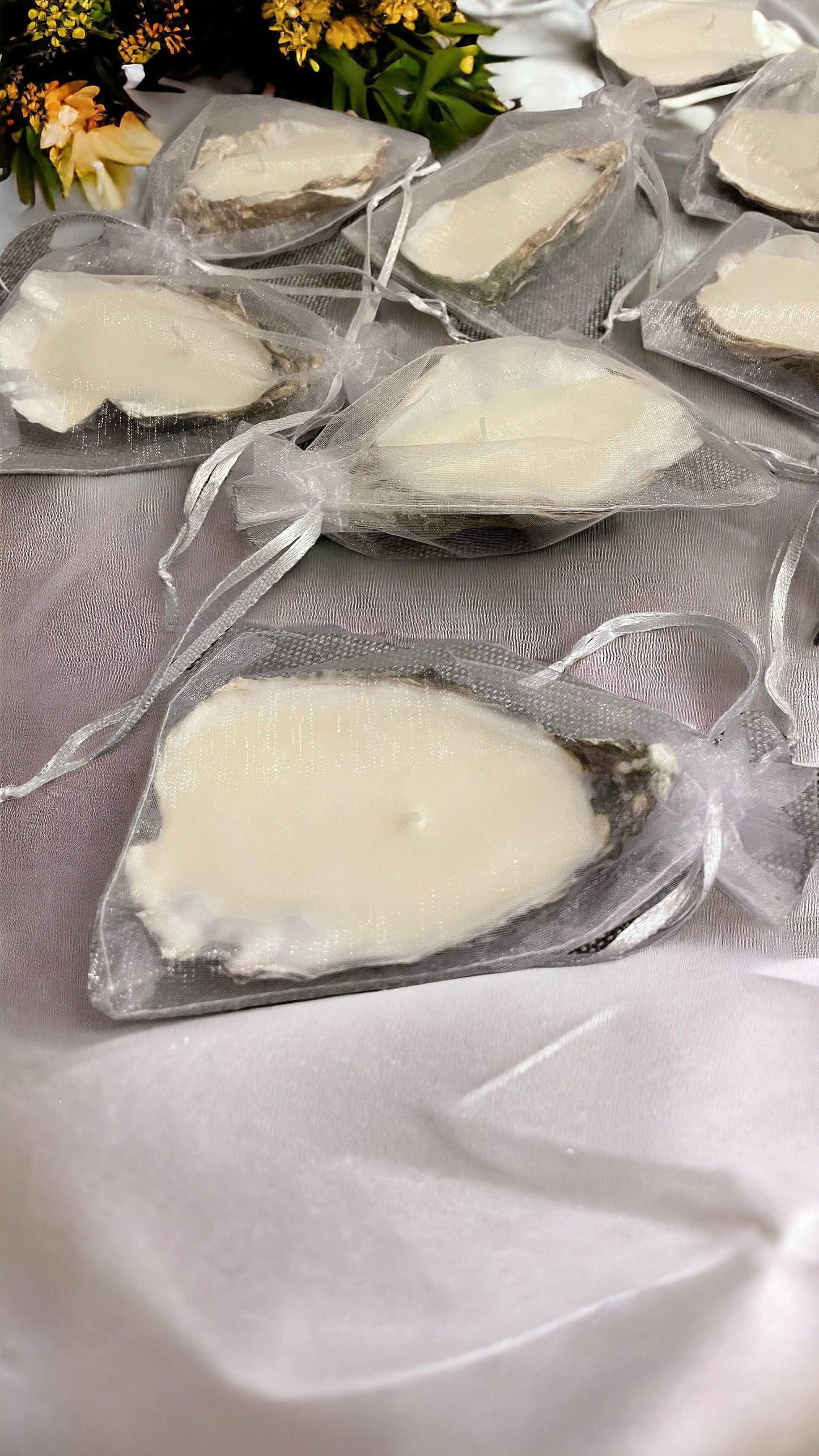Set of 3/5/7 Oyster Shell Candles