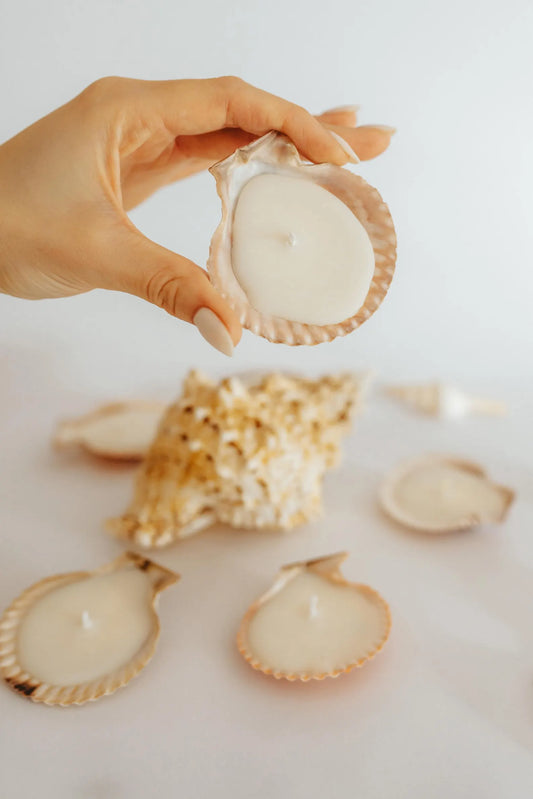 3/5/7 Sets of Shell Candles Natural Coastal Decor